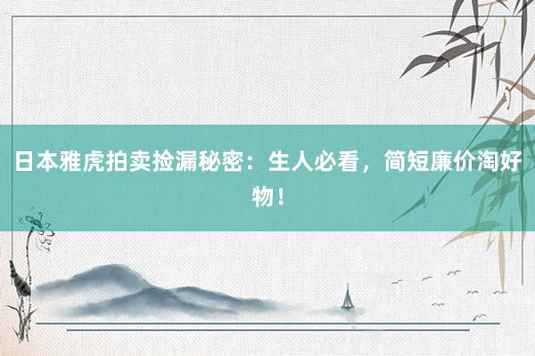 日本雅虎拍卖捡漏秘密：生人必看，简短廉价淘好物！
