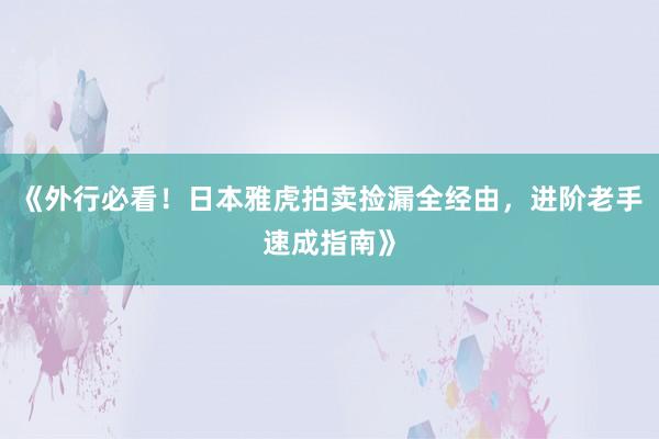 《外行必看！日本雅虎拍卖捡漏全经由，进阶老手速成指南》