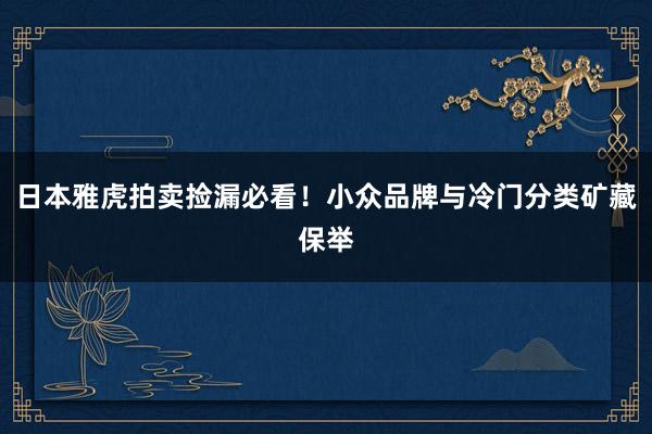 日本雅虎拍卖捡漏必看！小众品牌与冷门分类矿藏保举