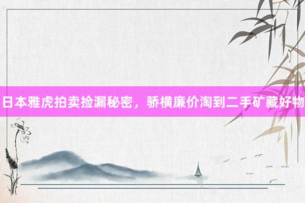 日本雅虎拍卖捡漏秘密，骄横廉价淘到二手矿藏好物
