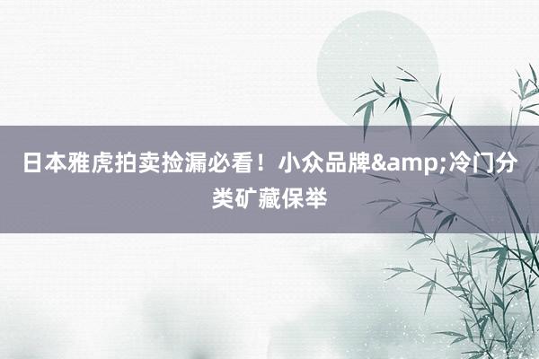 日本雅虎拍卖捡漏必看！小众品牌&冷门分类矿藏保举