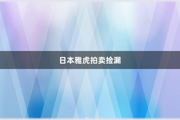 日本雅虎拍卖捡漏