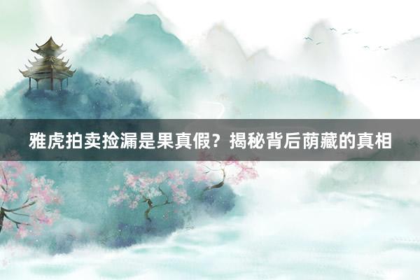 雅虎拍卖捡漏是果真假?揭秘背后荫藏的真相