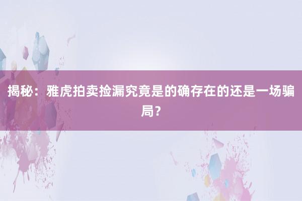 揭秘:雅虎拍卖捡漏究竟是的确存在的还是一场骗局?